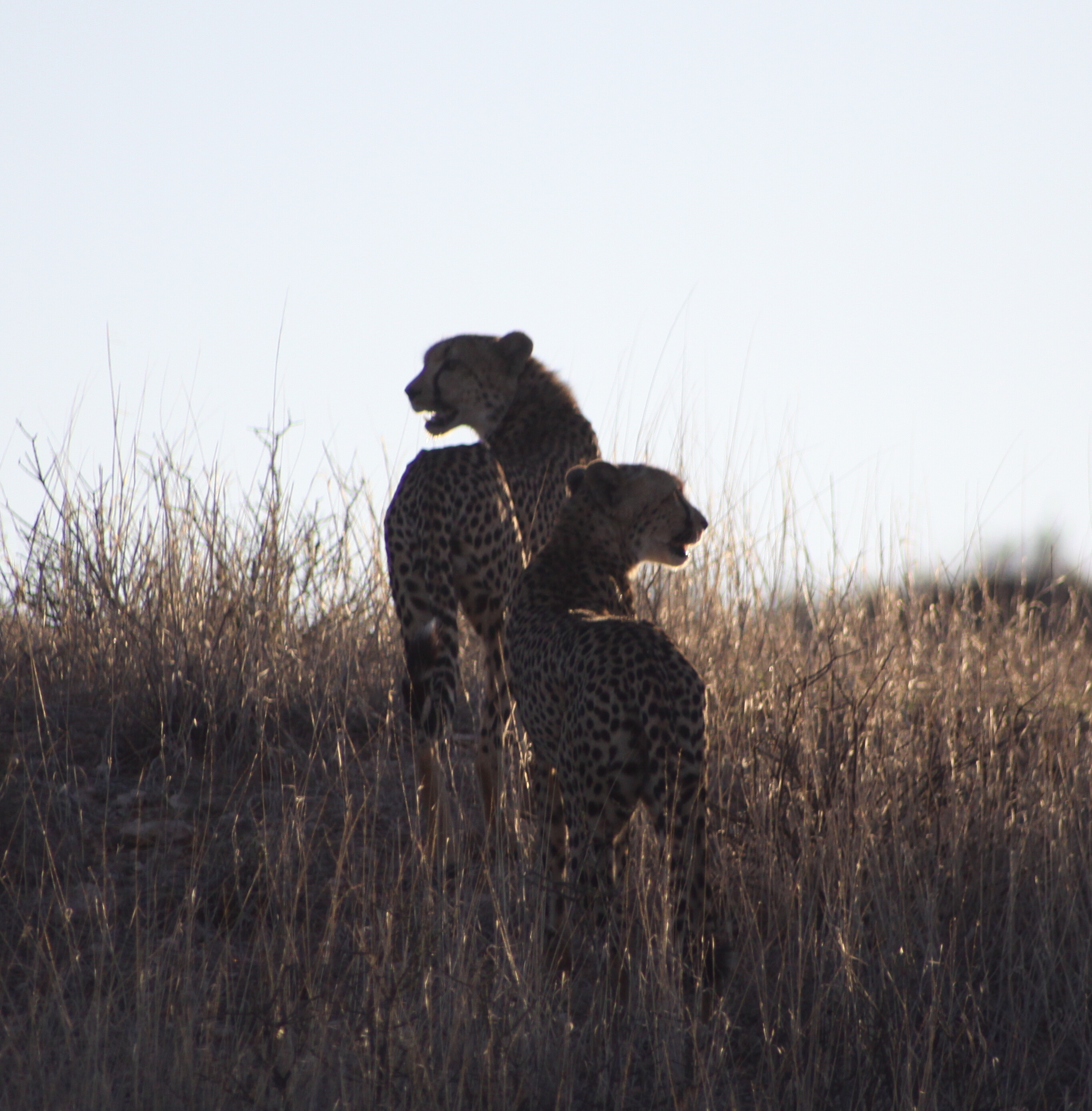 477c97ec-789a-4d37-ac30-5c81ae5e5f7c